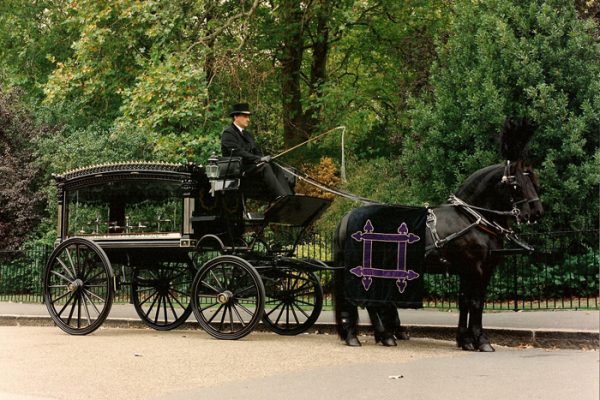 fleet_horse__carriage_s._pk__large