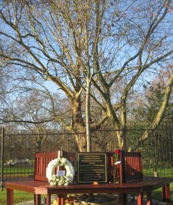 memorial_garden_memorial_tree_and_bench__large